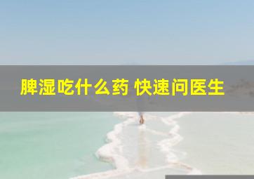 脾湿吃什么药 快速问医生